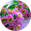 ragula sunitha profile picture